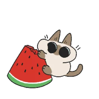 [sticker](media:AAMCAQADHQI-bPsfAAEEy1Vi9QKfwCzI6LdCCC8gE-dzVN0UKwAC_AEAAqDP2UWiRUv2YmL5CgEAB20AAykE@telegram)