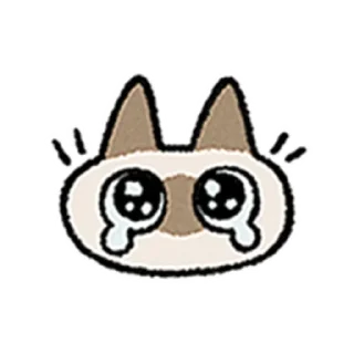 [sticker](media:AAMCAQADHQI9GfldAAEBXWhi81-Oay8hK26yNfbzmVkI5ootgwACmwEAApOcmEVpAX5ND32XgwEAB20AAykE@telegram)