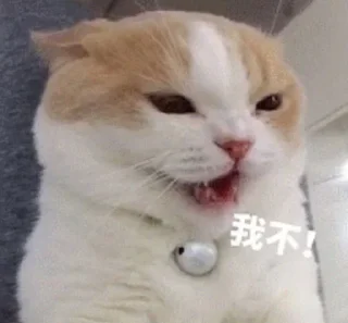 [sticker](media:AAMCAQADHQI9ls-AAAEYw5Jhl6oGyfHF7Q1Z17P298GkL1WSAAO_AQACyuanJIeWMPKcJLajAQAHbQADIgQ@telegram)