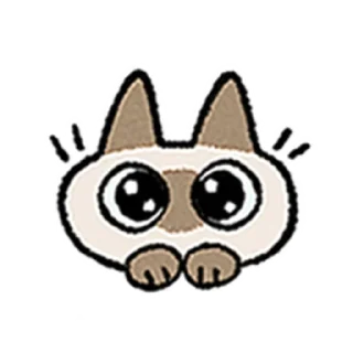[sticker](media:AAMCAQADHQI9ls-AAAEZcwlidLgwC2Z-qsz-FZWXg3jCmSliOAACmQEAAspumEXkrHa982vuJAEAB20AAyQE@telegram)