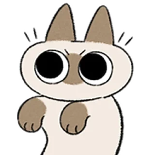 [sticker](media:AAMCAQADHQI9ls-AAAEZgd9iji9Kbr16KdnsnFk40-ss4_IOXwACNAEAAp41mEVxqehMPzZmkAEAB20AAyQE@telegram)