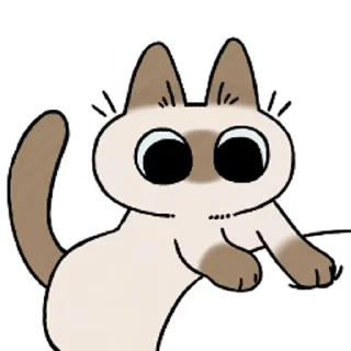 [sticker](media:AAMCAQADHQI9ls-AAAEZjilim69oPX1yR6kyO_mtH8MsMBhuUAACwgEAAlfEOEQaICF-QT3FcQEAB20AAyQE@telegram)