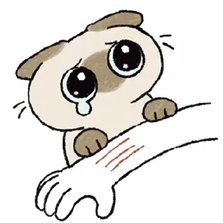 [sticker](media:AAMCAQADHQI9ls-AAAEZlkRins3I28O5TmAZ5OfD3GSnVG19TgAC8QADJ2RgR0oj0Pd2G4ObAQAHbQADJAQ@telegram)