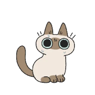 [sticker](media:AAMCAQADHQI9ls-AAAEZtxVi1srmh31ZhyOSHr9iQHn4Wz2fyAACywIAAuET2UWVKT-slbzApgEAB20AAykE@telegram)