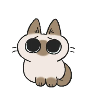 [sticker](media:AAMCAQADHQI9ls-AAAEZuB1i2Cbs89lcFfMec1lBOg535nFgpwACAQIAAjZZQURFqRmV5ZBj1wEAB20AAykE@telegram)