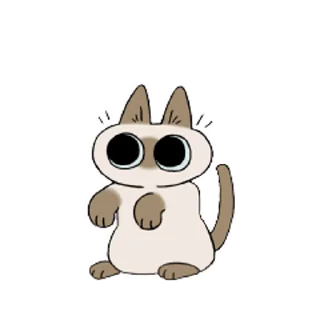 [sticker](media:AAMCAQADHQI9ls-AAAEaC-JjmCjhCHjUwh0yvvtP9ZfmBGRTngACeAIAArV84UdnYVterMstYAEAB20AAywE@telegram)