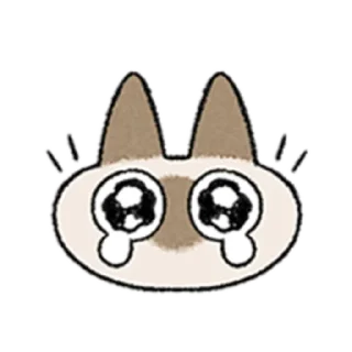 [sticker](media:AAMCAQADHQI9ls-AAAEaEJljq_B98kWg6uTiCLhHhzDlnsAyjAACnAEAAodvoEU3IpaFAb5ubgEAB20AAywE@telegram)