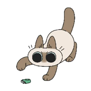 [sticker](media:AAMCAQADHQI9ls-AAAEaKARkFJkwKi_s0TN23RfD85GKU4CDGQACWgMAAkxkmEcWCKWPDq4O5gEAB20AAy8E@telegram)
