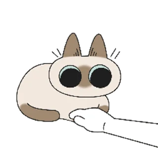 [sticker](media:AAMCAQADHQI9ls-AAAEaOg9ka6S_Vfi38nPaT6_ZS9v3U_5hfwACnAIAArT2mEe3knvpBRG96gEAB20AAy8E@telegram)