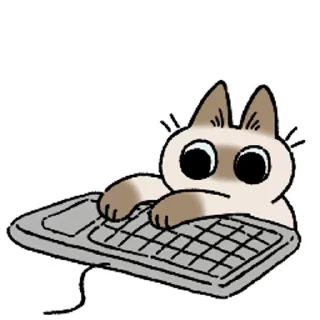 [sticker](media:AAMCAQADHQI9ls-AAAEaTblk30h72FQz_Aj32O1Ma1jMsLywgwACRAIAAlGXOER2LcORTkW25wEAB20AAzAE@telegram)