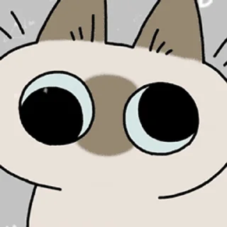 [sticker](media:AAMCAQADHQI9ls-AAAEaU8VlCsddorP-Zk8TJx7FZDf5ZOzUpAACegIAAuYPMER3vds-rwc3kAEAB20AAzAE@telegram)
