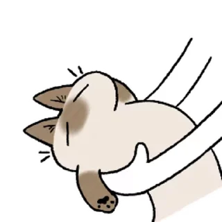 [sticker](media:AAMCAQADHQJA2ZtDAAEBbA5iOaE7KBrjwWHe9Q4TbbVfKpK7eAACeQEAAjaFQETK1TCV_QRkkQEAB20AAyME@telegram)