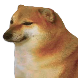 [sticker](media:AAMCAQADHQJDr2X7AAEBPwdkGnB2zmNvZDSZucjy3Eb8mRwXmgACJAMAAgh1tx7BMsiTzpTcJwEAB20AAy8E@telegram)