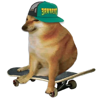[sticker](media:AAMCAQADHQJDr2X7AAEBSoplCGc03mj6sWCNyll1HYFVAwrMdwACKAMAAgh1tx6KLlBncrp55gEAB20AAzAE@telegram)