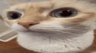 [sticker](media:AAMCAQADHQJDr2X7AAEBZAVmV_VVXCIwvuXAp9cEKty2zFkcxgACOgQAAhabCESwXZ8qUFdVRQEAB20AAzUE@telegram)