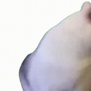 [sticker](media:AAMCAQADHQJDr2X7AAEBZqpmZTbNG2sgIHFEZVtPQO2yeqHzvAACrwQAAikMcUQx6Y2OT__gjwEAB20AAzUE@telegram)