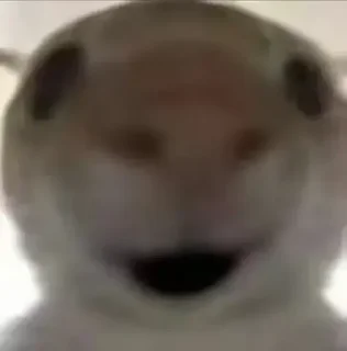 [sticker](media:AAMCAQADHQJDr2X7AAEBrv5o_bAFSx-Om7GKZEOWcDMF3WxxFAACdQUAAuA9KUWCmUGxjIP3xgEAB20AAzYE@telegram)