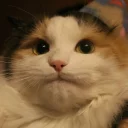 [sticker](media:AAMCAgADHQI9GfldAAEBwvBmGRXJz2Zw07vJrFQTq0h0FmQNuwAC9wIAAlwCZQO1cgzUpY4T7wEAB20AAzQE@telegram)