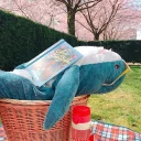 [sticker](media:AAMCAgADHQJA2ZtDAAEBVD1holHq-EfjLF4-iw25IrQ2nnX-lgACqA8AAujW4hK19CqwSgW6PgEAB20AAyIE@telegram)