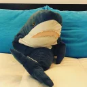 [sticker](media:AAMCAgADHQJA2ZtDAAEBWZVh3_O-5heDYz8nT9hxTWdy31gTswACtA8AAujW4hLBCiM5Ns_bIAEAB20AAyME@telegram)