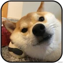 [sticker](media:AAMCAgADHQJAQwEmAAEL1xNfDGsIWdidLA-YmqmV_0J0VVh0tQACWgwAAujW4hIFJvBbs84fLr_xtQ4ABAEAB20AA9SDAAIaBA@telegram)