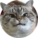 [sticker](media:AAMCAgADHQJAQwEmAAEL65tfH60zYRxhA8IoxuS4DcAFzgOdBwACvwkAAvFCvwXG8S9ISr5BJH3xtQ4ABAEAB20AA-p3AAIaBA@telegram)