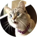 [sticker](media:AAMCAgADHQJAQwEmAAEL6QlfHuOZr8M5CRhEwYP1GZCFIM_s6gACjwkAAvFCvwU31r2BDDumHa8HEA4ABAEAB20AA3GTAAIaBA@telegram)