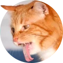 [sticker](media:AAMCAgADHQJAQwEmAAEL7ItfH_j-XVTbq7x6ftrZ9jskbYCUXwACvwcAAvFCvwXFnlpOqIlG1PVwcQ0ABAEAB20AAzBCAAIaBA@telegram)