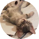 [sticker](media:AAMCAgADHQJAQwEmAAEL7WJfIM53ZydHSdHUGiLIDMHZX-27eQAC0wkAAvFCvwW5MC3vhqPGz9bp9A4ABAEAB20AA_YaAAIaBA@telegram)