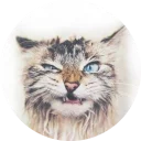 [sticker](media:AAMCAgADHQJAQwEmAAELLDFeTq1t8Uu4Ph_tiKj4QppGI_8x-AACyQEAAvFCvwXNbtfO24oMC-wxhCoABAEAB20AA5A2AAIYBA@telegram)