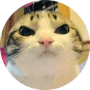 [sticker](media:AAMCAgADHQJAQwEmAAELSBFecEIB3zYLZRaaAXt5wzIKqvGznwACnwUAAvFCvwXK6qyu3sKUrNuyRw0ABAEAB20AA8kPAAIYBA@telegram)