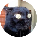 [sticker](media:AAMCAgADHQJAQwEmAAELTPdedYNlUhgeF2ccd1kN88_Uka5LrwACrgEAAvFCvwUcSJrKUf71jNs0hCoABAEAB20AA-UzAAIYBA@telegram)