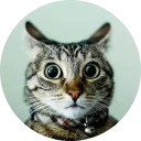 [sticker](media:AAMCAgADHQJAQwEmAAELU_BefyTXQ3FnrgynZSBHYAABDbKWMDEAAqgBAALxQr8Fpd9m495PZIMMP4QqAAQBAAdtAAN5MAACGAQ@telegram)