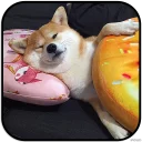 [sticker](media:AAMCAgADHQJAQwEmAAELUmVefZjDRVPp6Xf5p-I0nU4-szx_kgACTgwAAujW4hIRCh4lrYi4SY_4tQ4ABAEAB20AAy59AAIYBA@telegram)