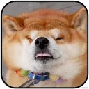 [sticker](media:AAMCAgADHQJAQwEmAAELVNhegaFzs425NZuOUt8kscJb5BaDSwACSwwAAujW4hJIAtix8Qs-SQFMrQ4ABAEAB20AA2eIAAIYBA@telegram)