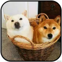 [sticker](media:AAMCAgADHQJAQwEmAAELVeRehHx1pqDgpq8tXdPQDNklOtDxwwACTAwAAujW4hLfzgQ1gz0GZKXntQ4ABAEAB20AA9Z-AAIYBA@telegram)