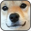 [sticker](media:AAMCAgADHQJAQwEmAAELVgdehI8jAAHpBpMRS7EBnnMLNI60pioAAl0MAALo1uIS15Th8yEAAkoiE60OAAQBAAdtAAMJjQACGAQ@telegram)