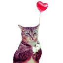 [sticker](media:AAMCAgADHQJAQwEmAAELVjZehXw0Xix17D7vq7YPQqmHCPa2KAACtgEAAvFCvwUY8BjxhQjm4ZB9hCoABAEAB20AA1sfAAIYBA@telegram)