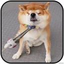 [sticker](media:AAMCAgADHQJAQwEmAAELVthehsbFnrq2Zv0mZQtzWm7yFWqN1gACSgwAAujW4hJoFU7CZa42KRLttQ4ABAEAB20AAyyGAAIYBA@telegram)