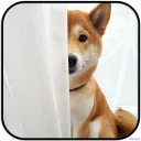 [sticker](media:AAMCAgADHQJAQwEmAAELW8teju10cb8hy8npQrkUNdeyU_8OxwACcAwAAujW4hKWXz3Viga2w4MIrQ4ABAEAB20AA9O2AAIYBA@telegram)