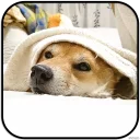 [sticker](media:AAMCAgADHQJAQwEmAAELXXxekiL0V7Qu0omGP1wo9I5TH3l5egACSQwAAujW4hJ2pYNaoHVOihwIrQ4ABAEAB20AAy-tAAIYBA@telegram)