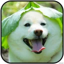 [sticker](media:AAMCAgADHQJAQwEmAAELXsZek_6TuICS8A3OtYScf5Eu16cbgQACTQwAAujW4hIsU3ietCq-ZGdUrQ4ABAEAB20AA0R2AAIYBA@telegram)