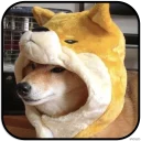 [sticker](media:AAMCAgADHQJAQwEmAAELY2Nels4MxxfMksaKIb_lpmPX9g_FuQACdgwAAujW4hIeGHoiIIn0WzDltQ4ABAEAB20AA06BAAIYBA@telegram)