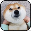 [sticker](media:AAMCAgADHQJAQwEmAAELY3Jels8RSJzRWzX8KjrAkXMt8iaX9wACVQwAAujW4hKzj94L1NJmqUjorA4ABAEAB20AAwi0AAIYBA@telegram)