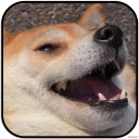 [sticker](media:AAMCAgADHQJAQwEmAAELYSFelTbm5zMmYyBjjUB21hIfirTcAwACYAwAAujW4hJ3dW_rPQiv0kc1rQ4ABAEAB20AAwaOAAIYBA@telegram)