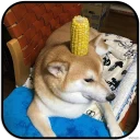 [sticker](media:AAMCAgADHQJAQwEmAAELYX9elWYYrueSieUeYQbwv32qtHtIgwACYQwAAujW4hI7Nf8bHmAWZv4IrQ4ABAEAB20AA--HAAIYBA@telegram)