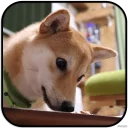 [sticker](media:AAMCAgADHQJAQwEmAAELZ8RentvLsevM3c_ejQcVMYy9ZJeSJAACVAwAAujW4hLKywb2RrPjtI88rQ4ABAEAB20AAx6AAAIYBA@telegram)