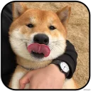 [sticker](media:AAMCAgADHQJAQwEmAAELZPtemSzl13eEkRq6E99ncpmbrN89iAACbQwAAujW4hInOLHs5fyvbt5ArQ4ABAEAB20AA9J9AAIYBA@telegram)