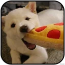 [sticker](media:AAMCAgADHQJAQwEmAAELZ_xen5v0ZViQ0jDpKLJZoBOEyS76sAACUAwAAujW4hK_QgZSGpx9Nn5GrQ4ABAEAB20AA62AAAIYBA@telegram)