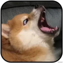 [sticker](media:AAMCAgADHQJAQwEmAAELaFBen7Kcl7zRVzBxeqrwupuMTgEdnwACbAwAAujW4hKftArjNcpTdHNBrQ4ABAEAB20AAzKKAAIYBA@telegram)